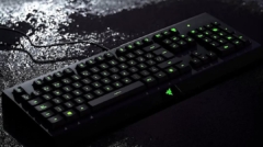 498644624_1511691252974359_243059714270448554_n